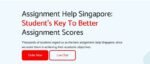 Assignment Help Singapore